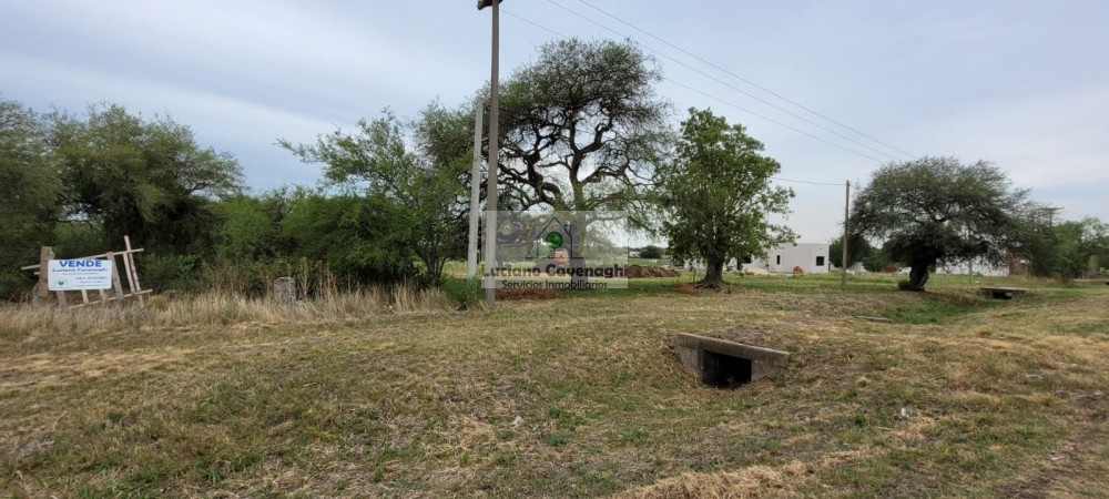 VENTA de CAMPO - RUTA A09, COLONIA NUEVA