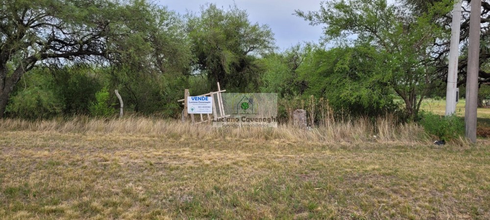 VENTA de CAMPO - RUTA A09, COLONIA NUEVA
