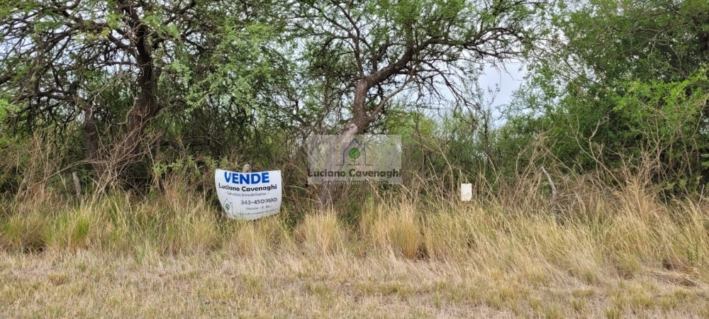 VENTA de CAMPO - RUTA A09, COLONIA NUEVA