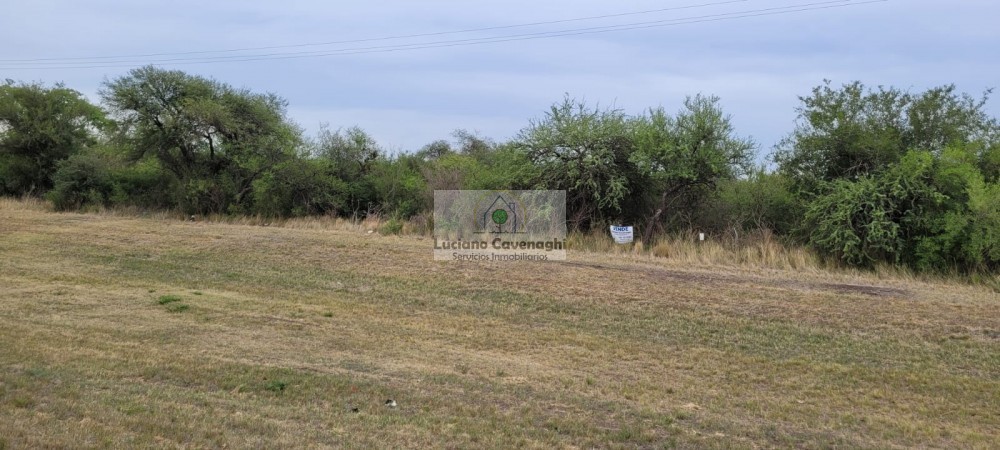 VENTA de CAMPO - RUTA A09, COLONIA NUEVA