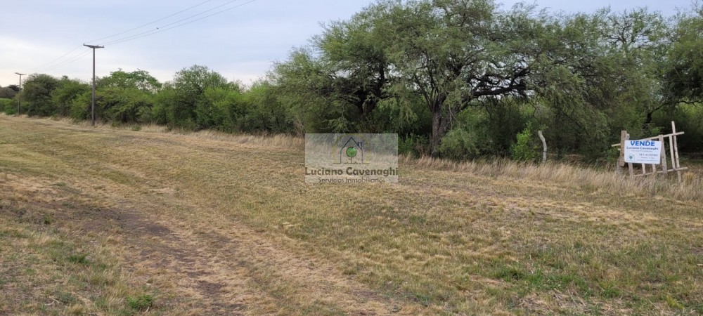 VENTA de CAMPO - RUTA A09, COLONIA NUEVA