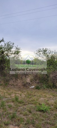 VENTA de CAMPO - RUTA A09, COLONIA NUEVA
