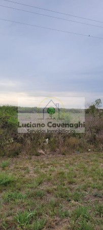 VENTA de CAMPO - RUTA A09, COLONIA NUEVA