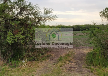 VENTA de CAMPO - RUTA A09, COLONIA NUEVA